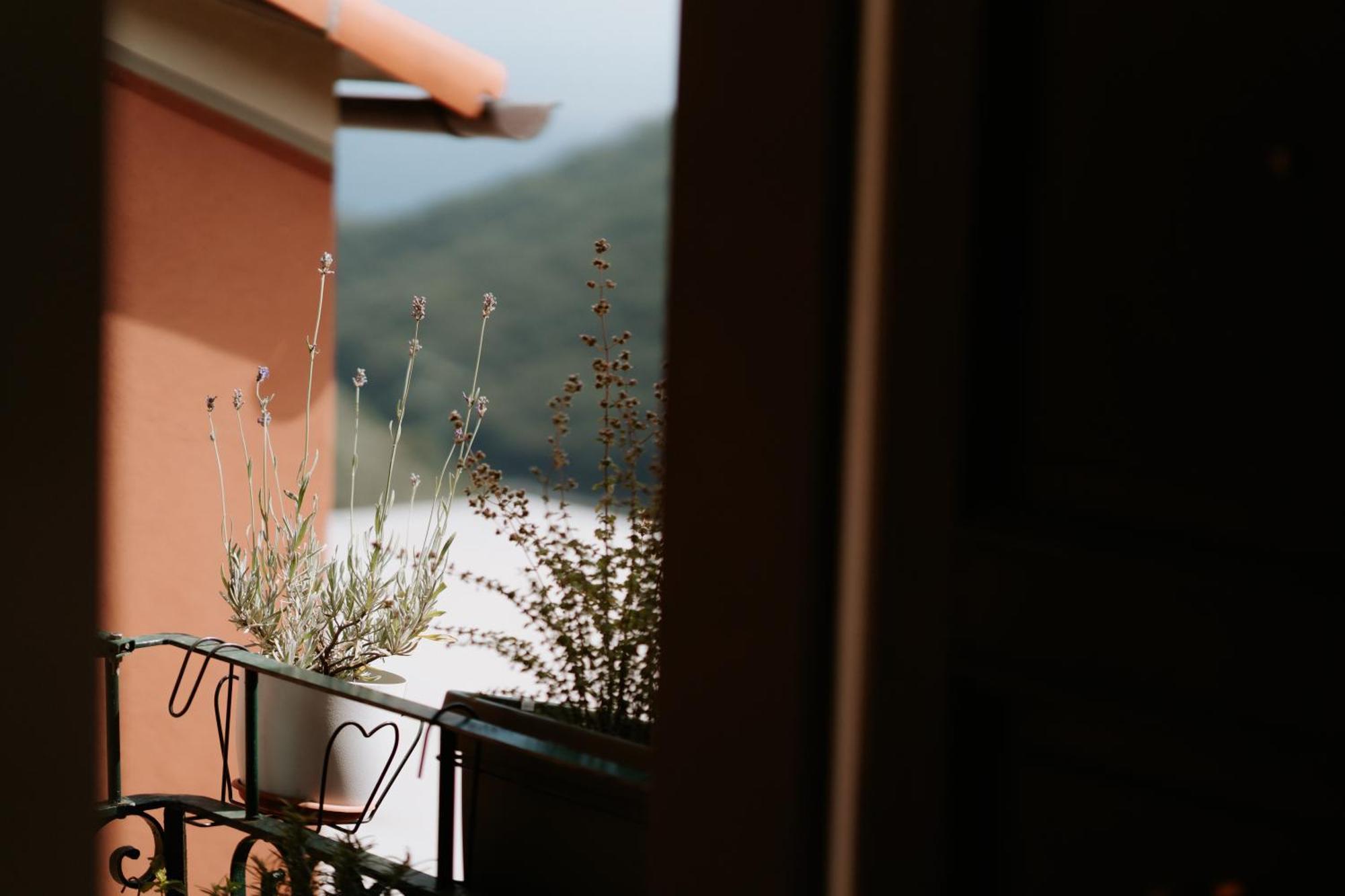Il Castagno Holiday Home Teriasca Exterior foto